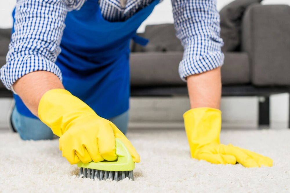 Carpet and Upholstery Cleaning